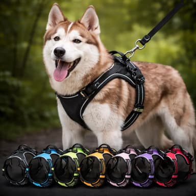No-Pull Dog Harness Vest image 1
