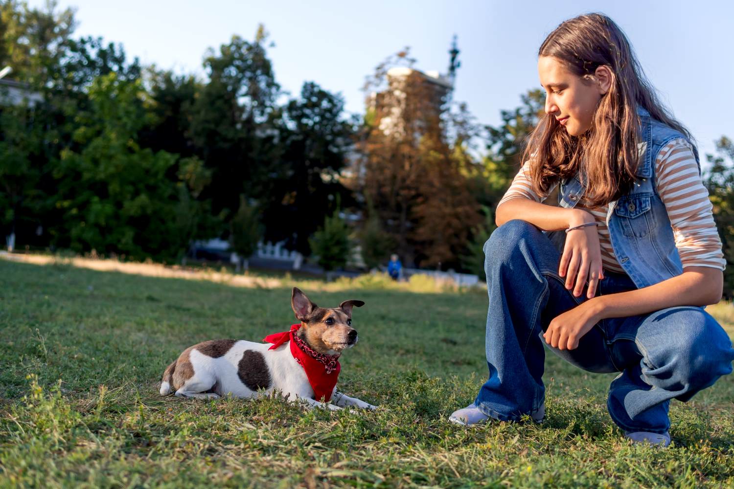 Dog walking calmly with a trainer on a leash outdoors